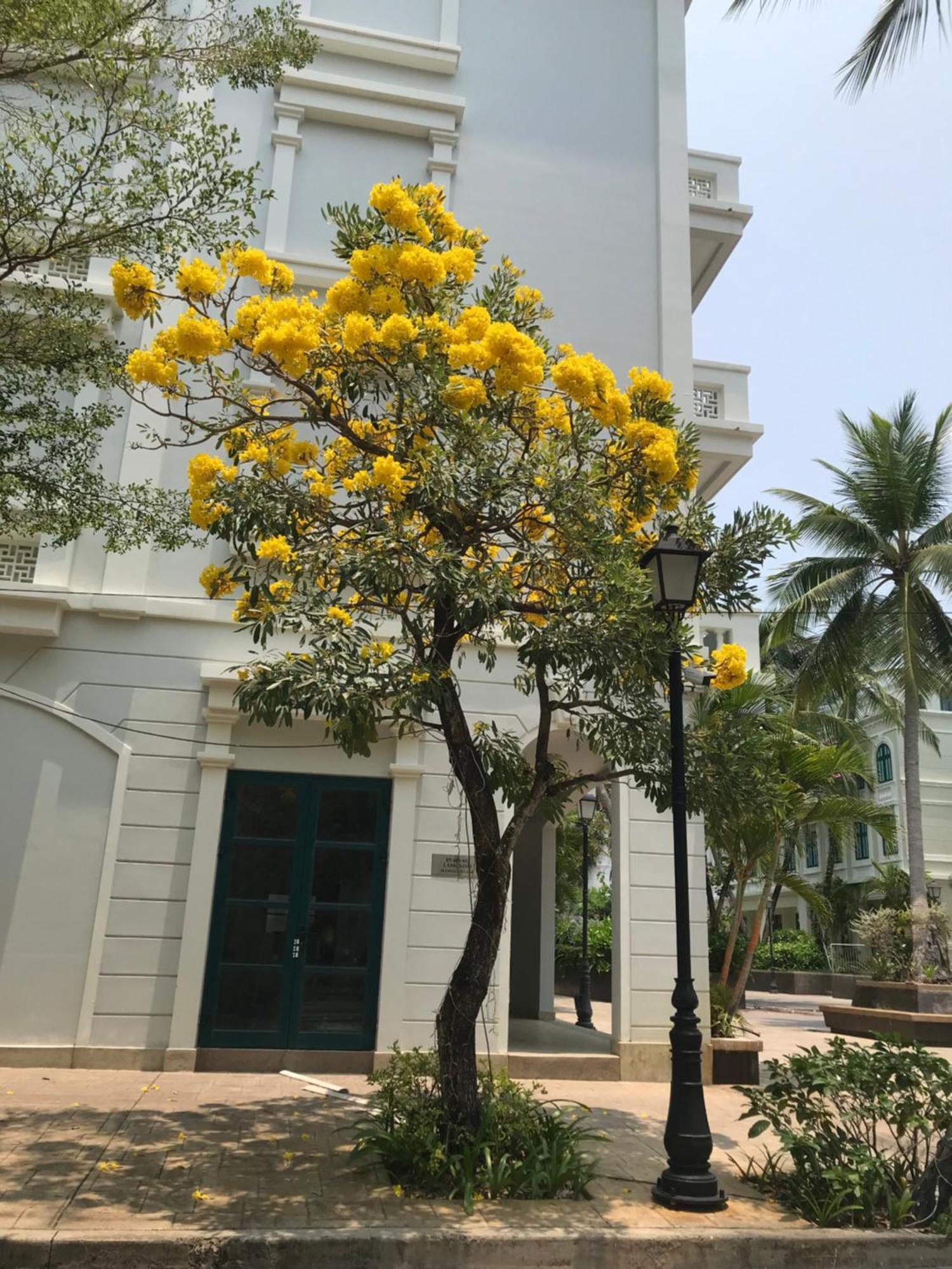 Kalia Hotel 두옹 동 외부 사진
